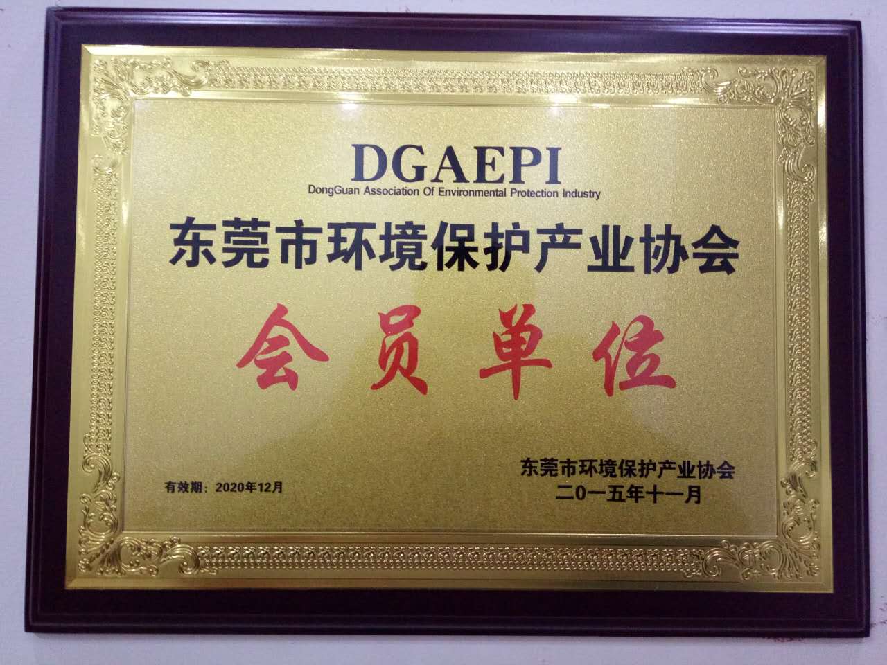 東莞市環(huán)境保護產業(yè)協(xié)會